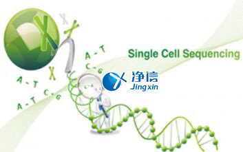 中國人自己的微流控單細胞測序儀來了！_微流控Drop-seq,微流控技術