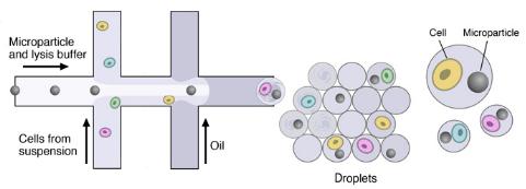 微流體裝置,DROP-SEQ