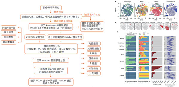 10X Genomics 單細(xì)胞轉(zhuǎn)錄組測(cè)序