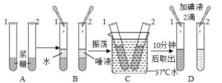 單細(xì)胞懸液制備方法